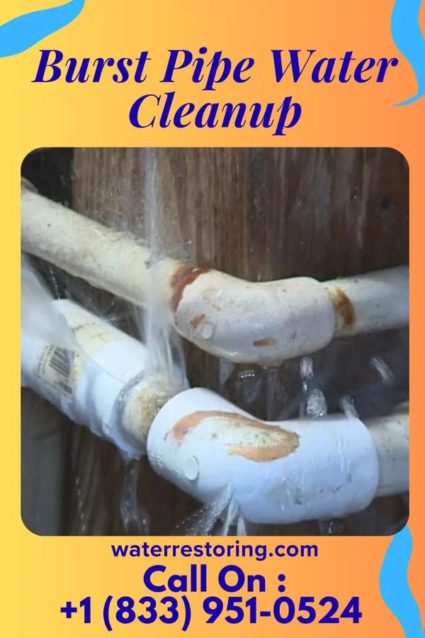 Burst Pipe Water Cleanup in Marydel, MD