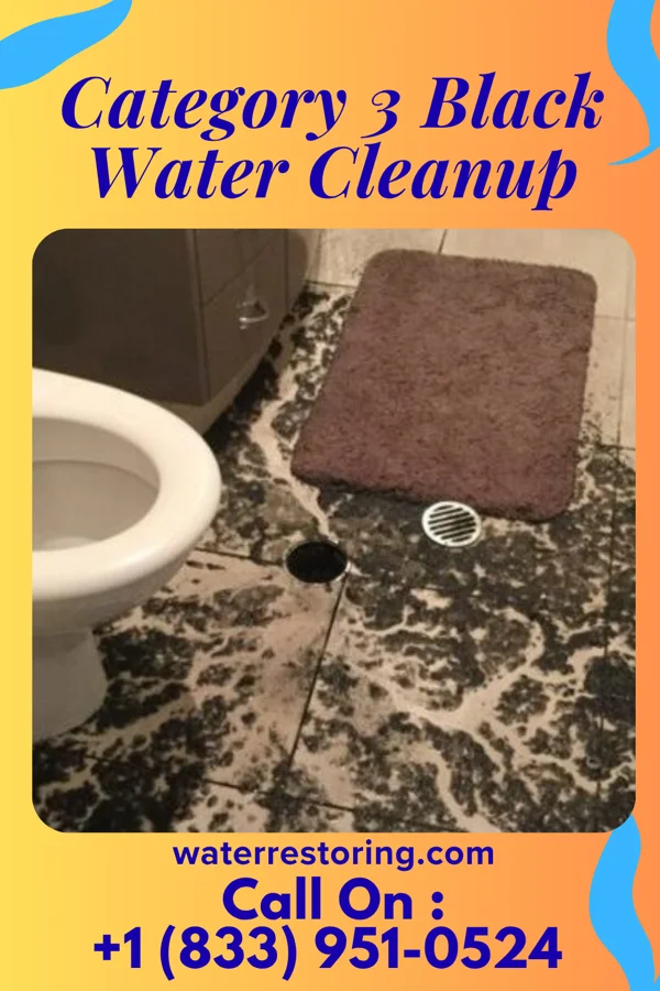 Category 3 Black Water Cleanup in Marydel, MD