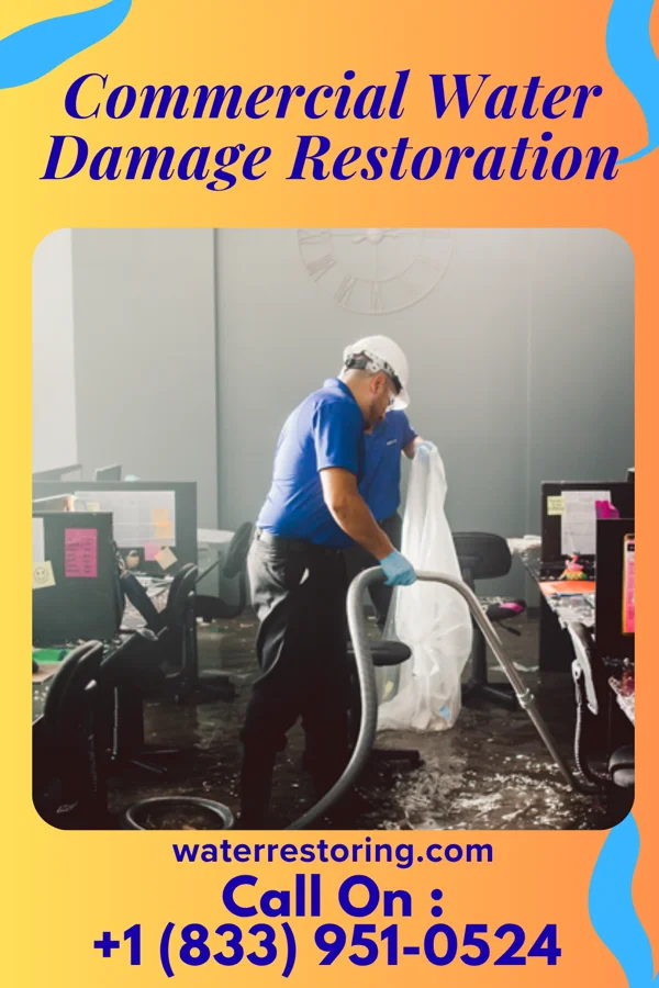 Commercial Water Damage Restoration in Marydel, MD
