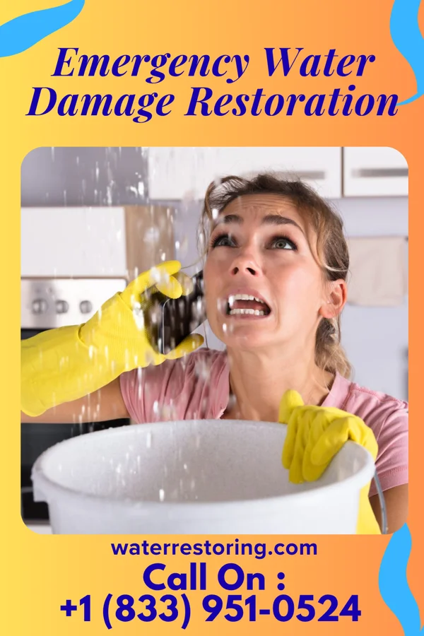 Emergency Water Damage Restoration in Marydel, MD