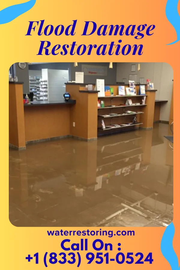 Flood Damage Restoration in Marydel, MD