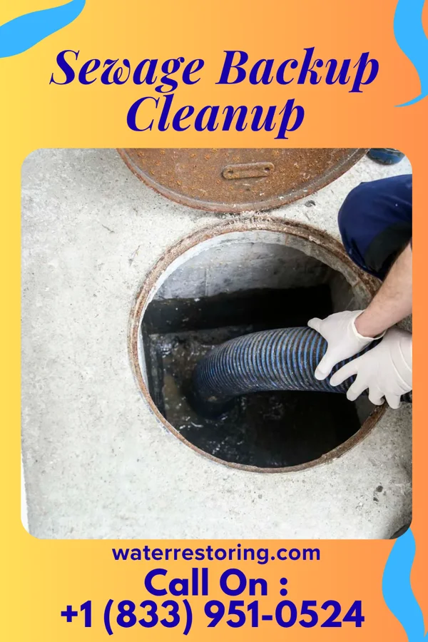 Sewage Backup Cleanup in Marydel, MD
