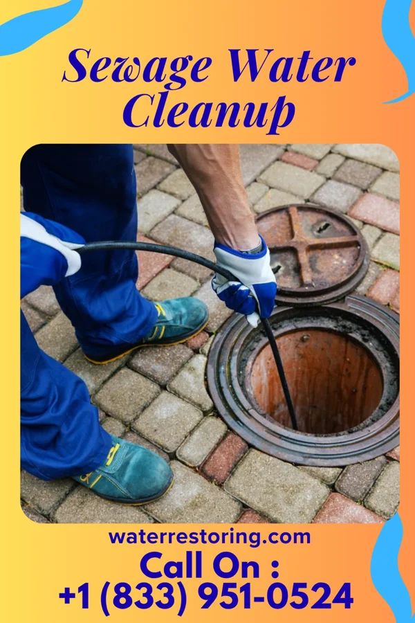 Sewage Water Cleanup in Marydel, MD
