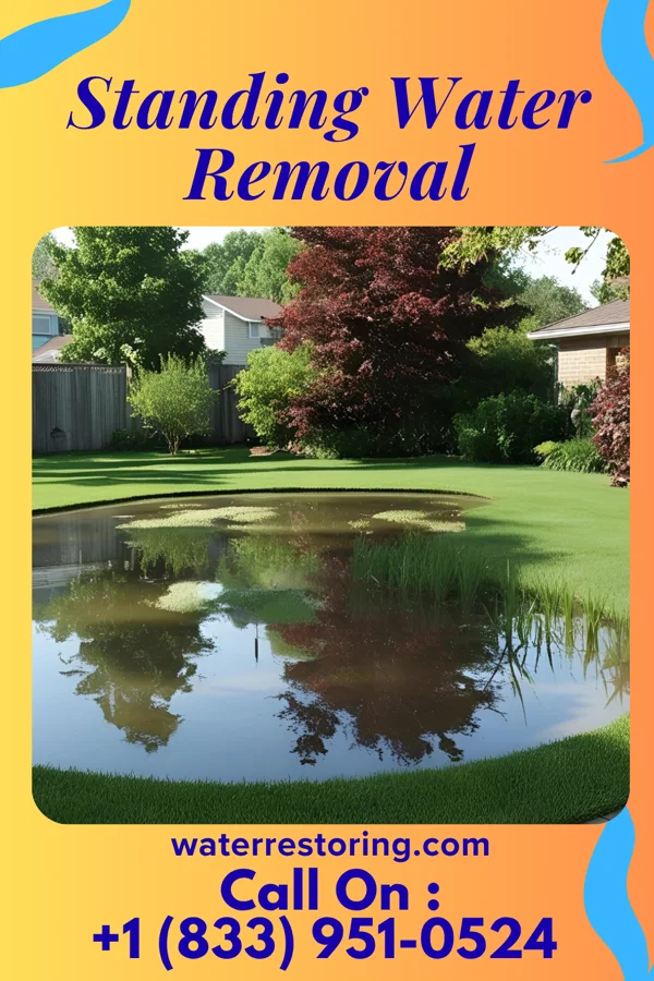 Standing Water Removal in Marydel, MD